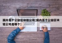 国内首个公益区块链公司[国内首个公益区块链公司是哪个]